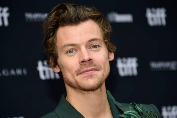 Harry Styles succeeds on the Internet
